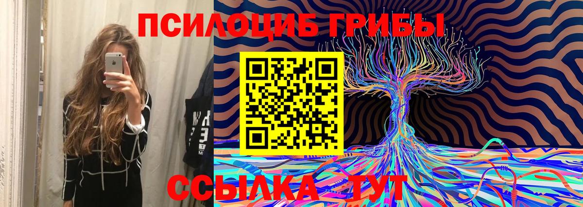 Псилоцибиновые грибы Psilocybe  Вход с VPN  Хасавюрт 
