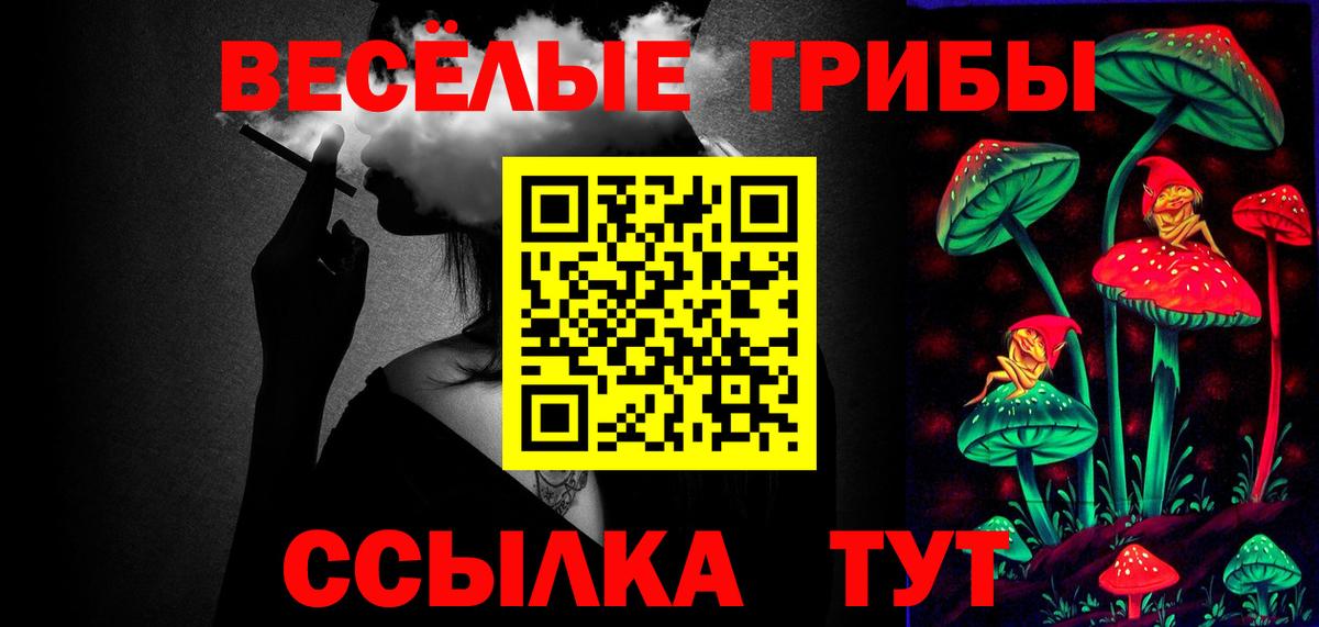 Галлюциногенные грибы Psilocybine cubensis Хасавюрт